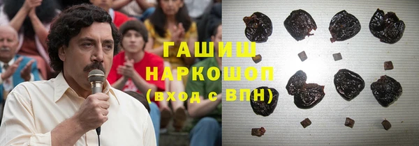 хмурый Аркадак
