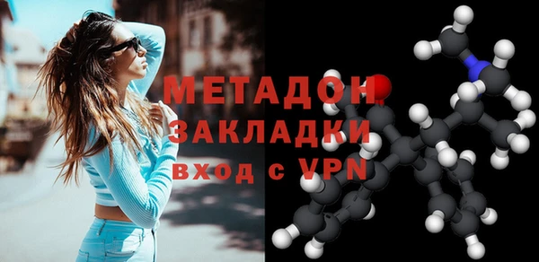 хмурый Аркадак