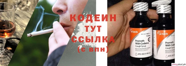 хмурый Аркадак