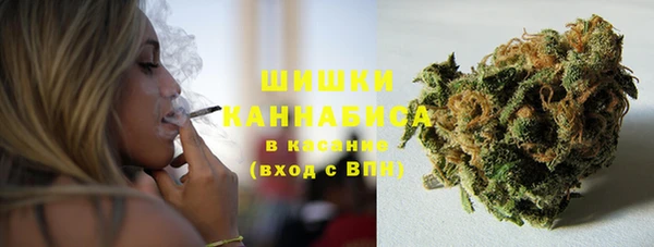 крисы Арсеньев