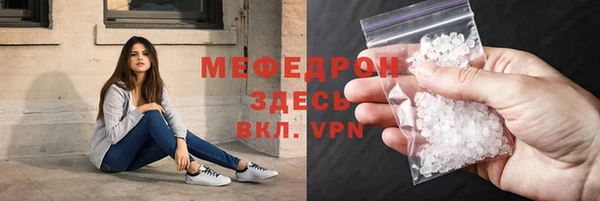 хмурый Аркадак