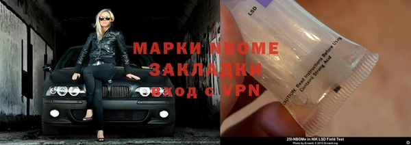 хмурый Аркадак