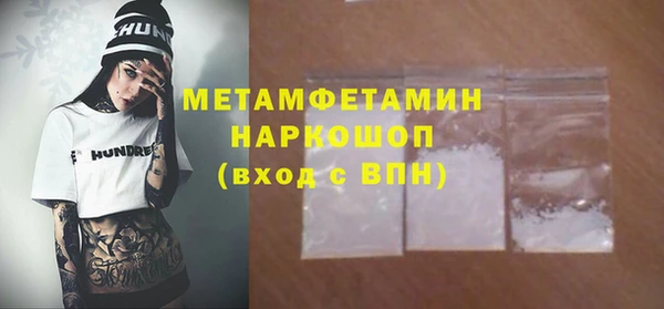 хмурый Аркадак