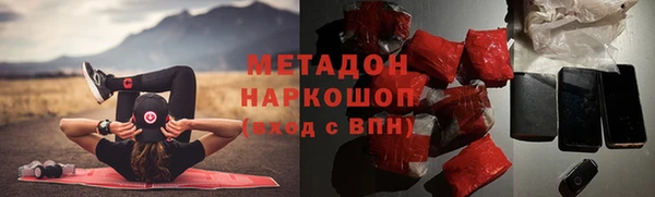 хмурый Аркадак