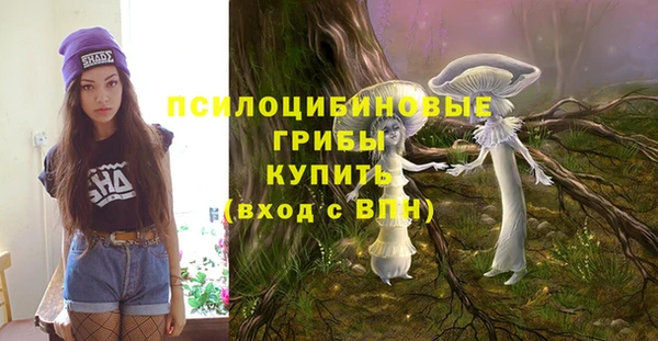 крисы Арсеньев