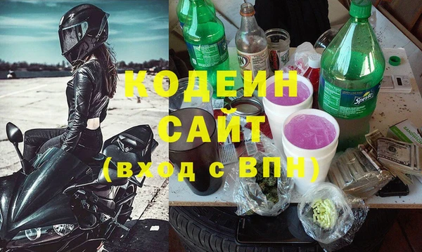 хмурый Аркадак